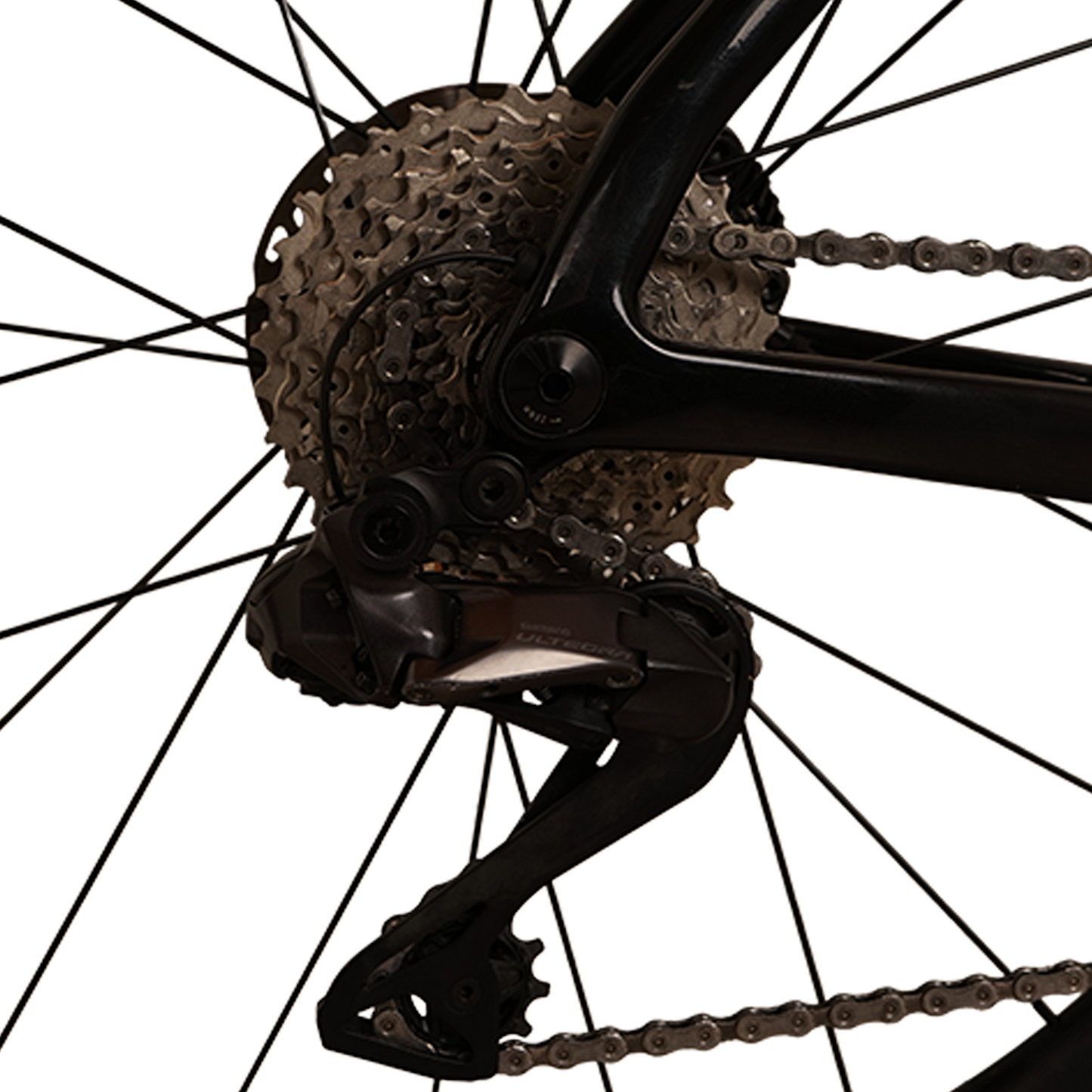 Python Envision Gravel 2022