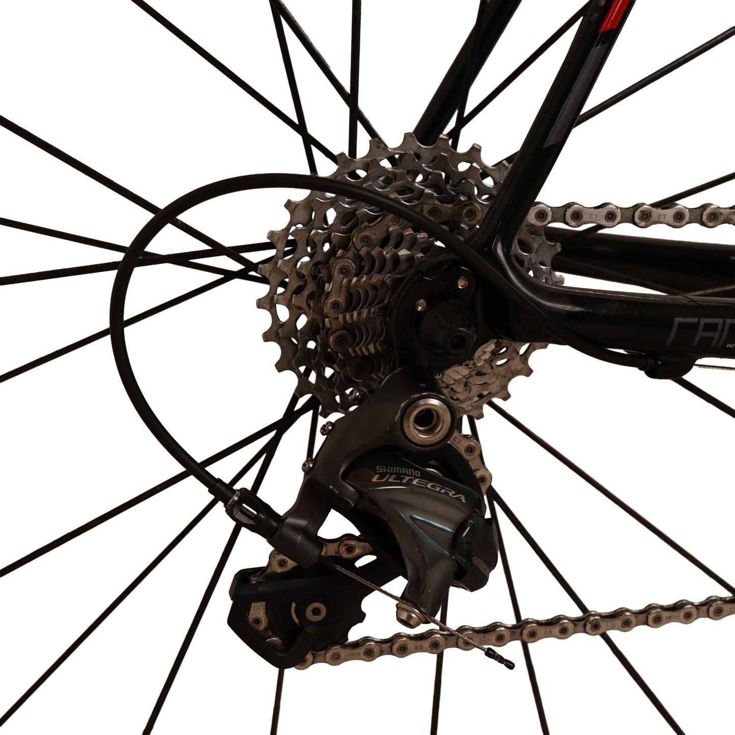Radon Sage Carbon 2016