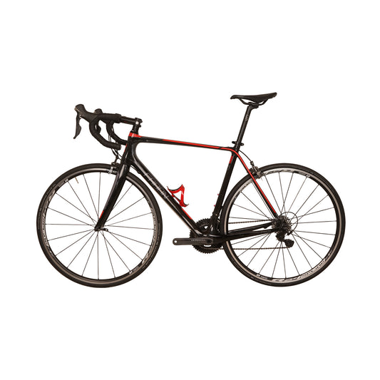 Radon Sage Carbon 2016