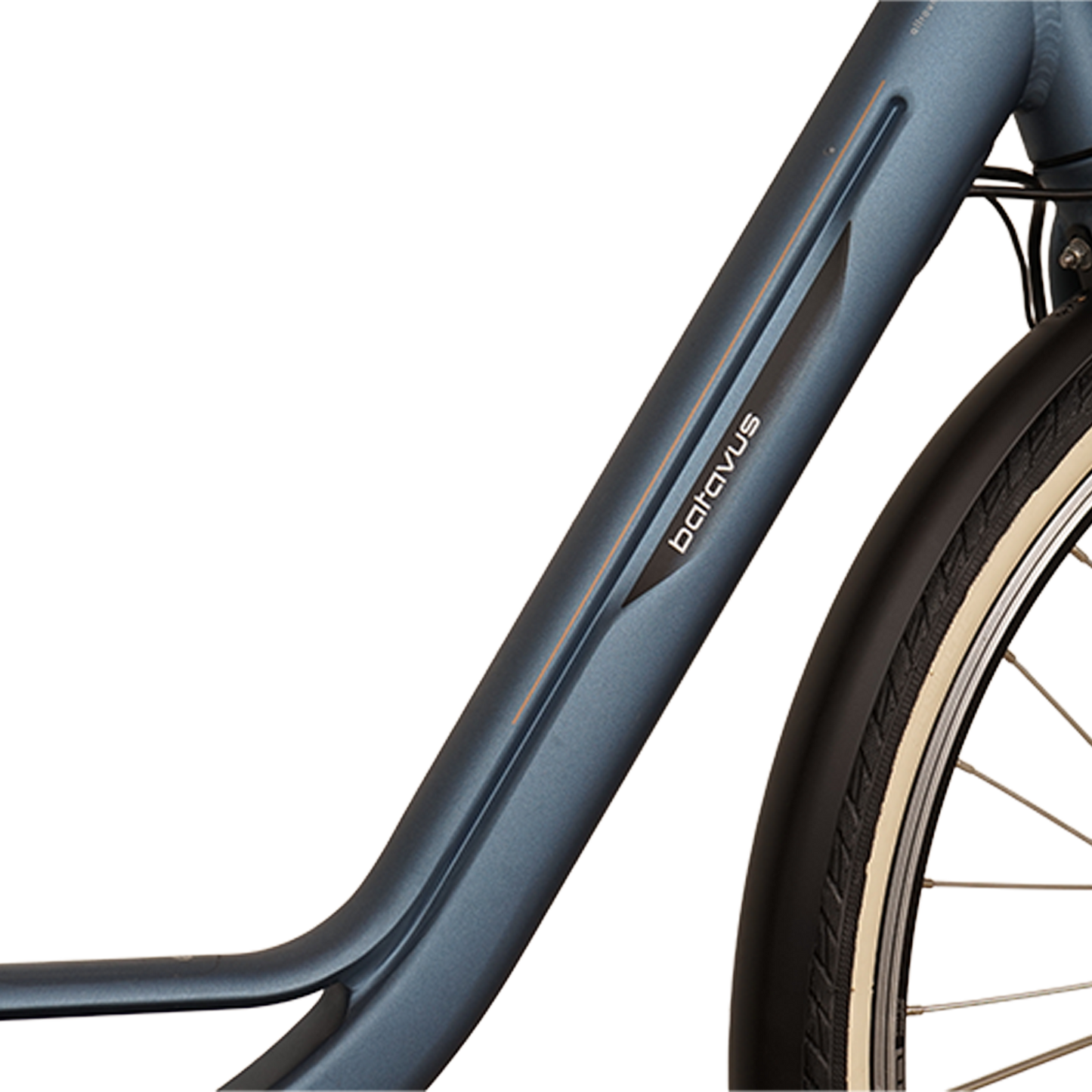Batavus Torino Ego D53 2019