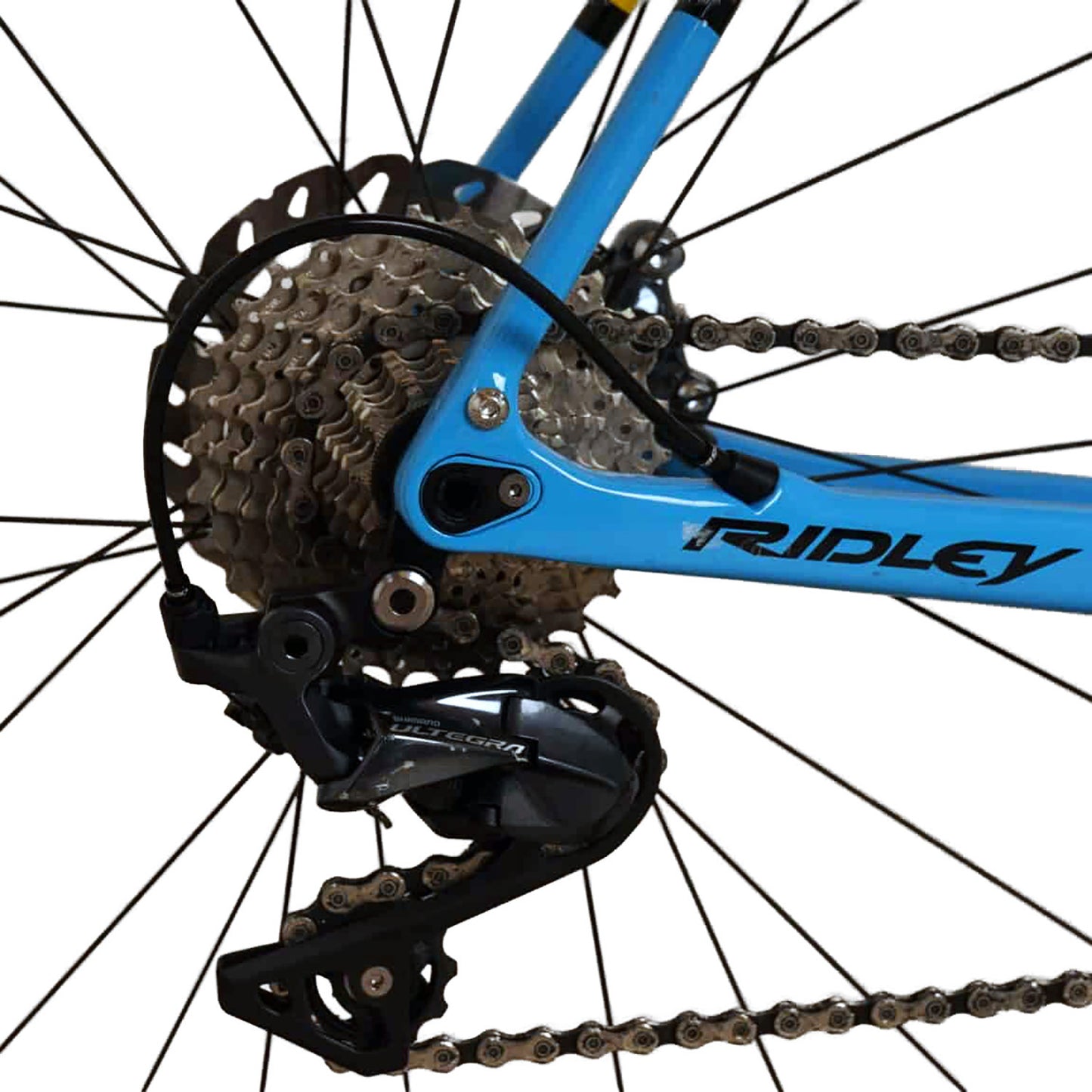 Ridley Kanzo Speed Belgian Blue